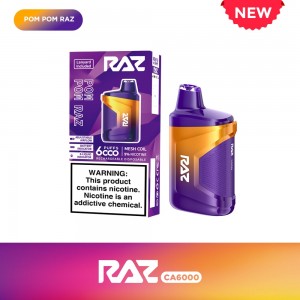 RAZ CA6000 10mL 6000 puff Disposable (Box of 10)