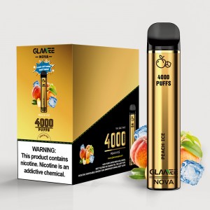 Glamee Nova Disposable 4000 puffs  (Box of 10)